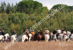Imagens de um interessante dia de campo em Vale Zebro Marinhais